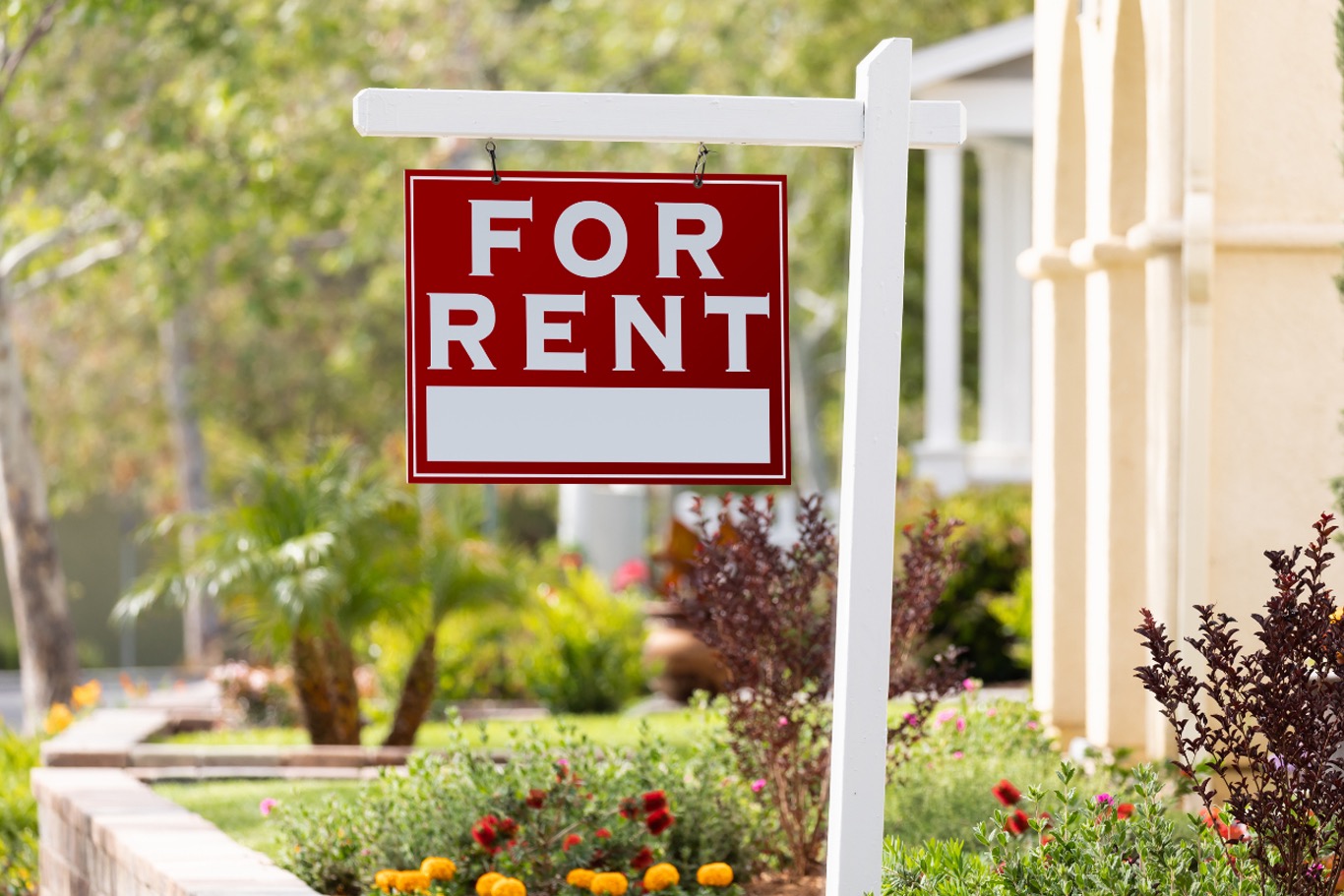 Apartment for rent in Egypt